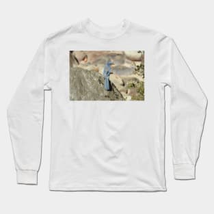 California scrub jay, birds, wildlife, gifts, nature, Graceful Blue Long Sleeve T-Shirt